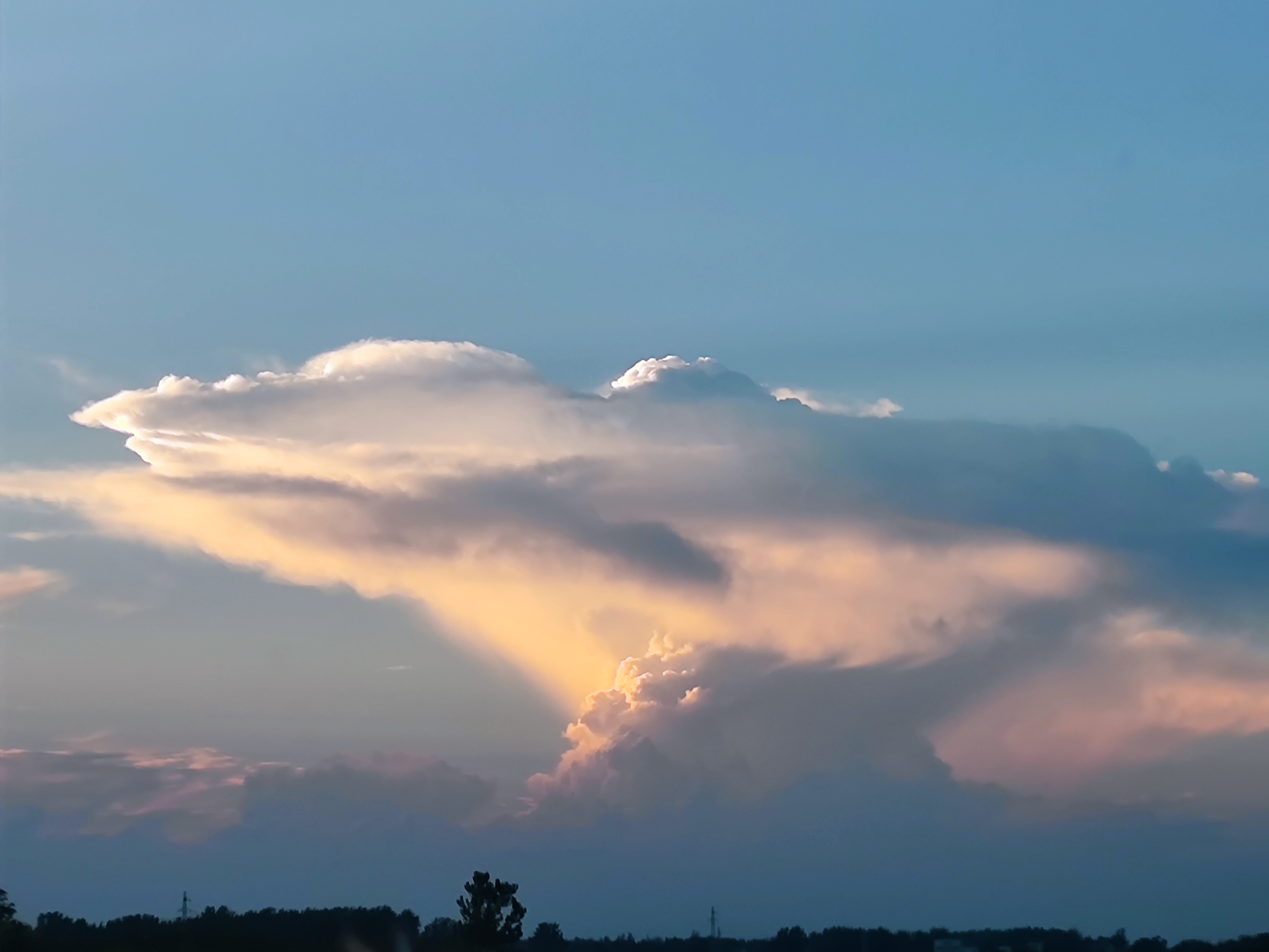 饭后遛弯儿所想